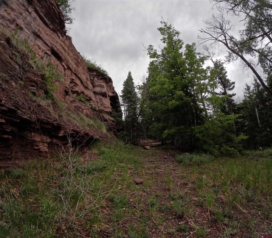 Tbd County Road 17 Ridgway CO 81432