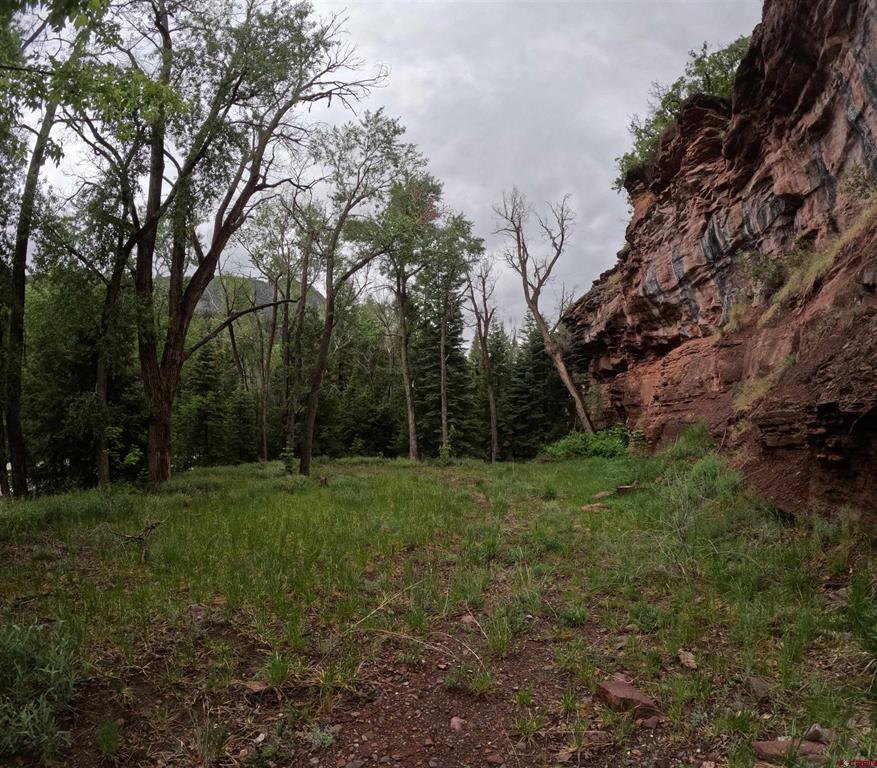 Tbd County Road 17 Ridgway CO 81432