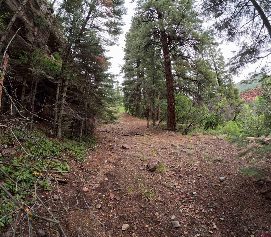 Tbd County Road 17 Ridgway CO 81432