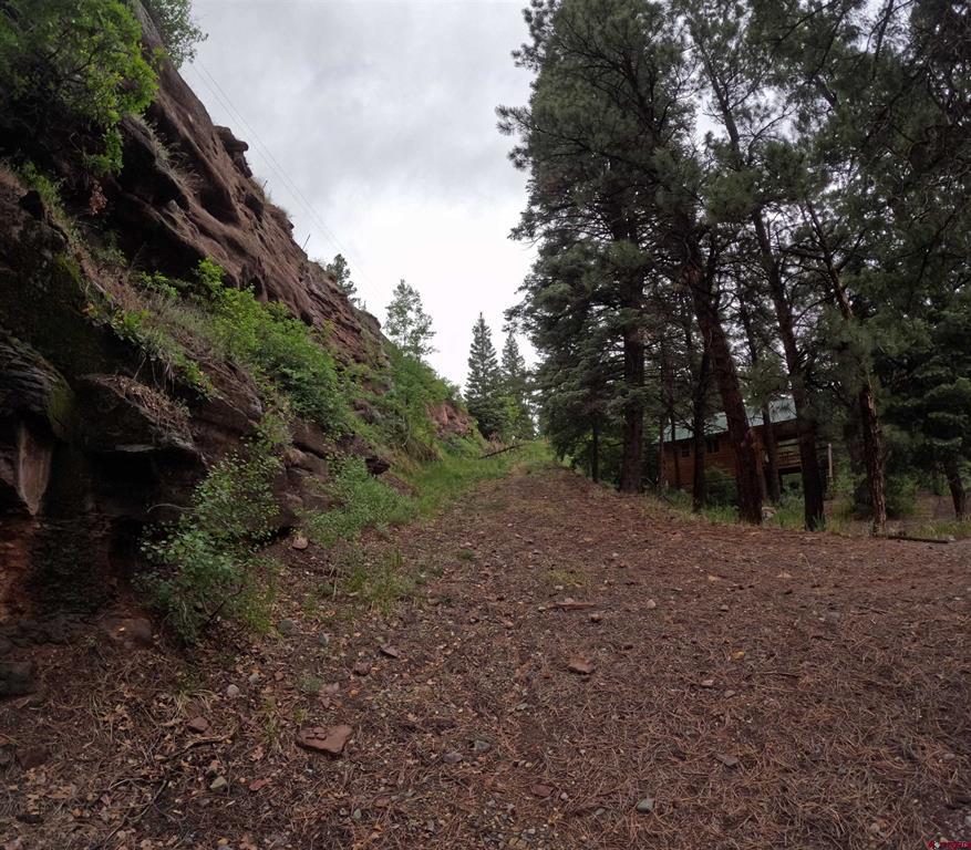 Tbd County Road 17 Ridgway CO 81432