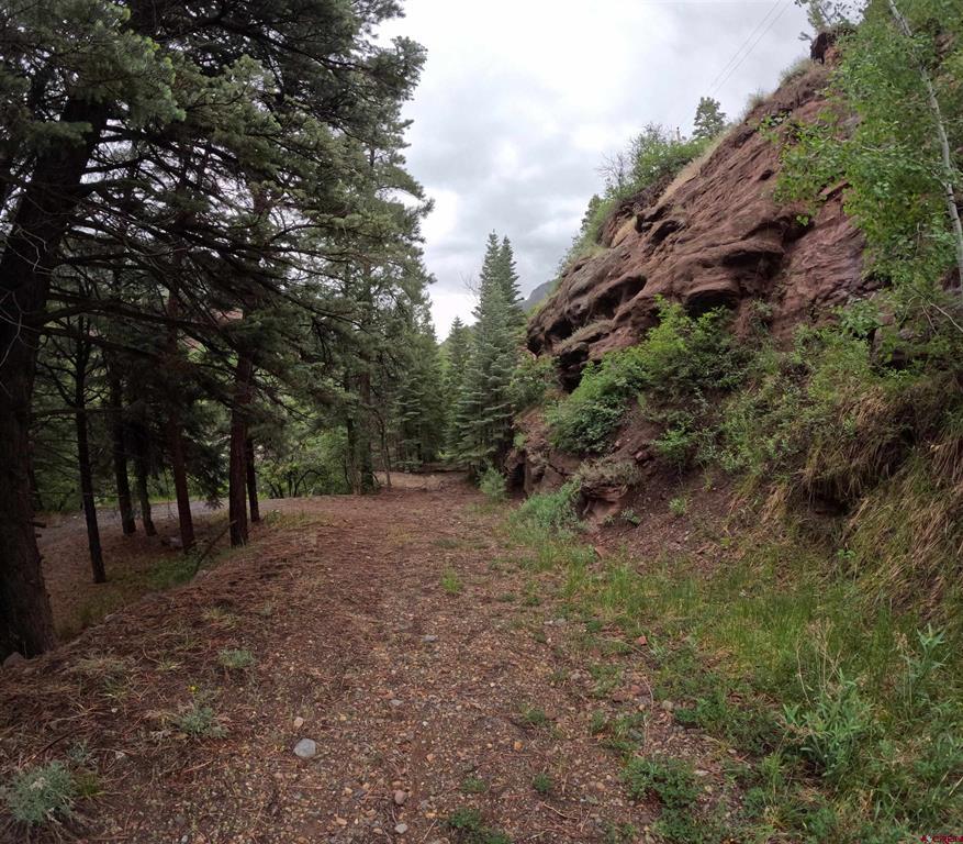 Tbd County Road 17 Ridgway CO 81432