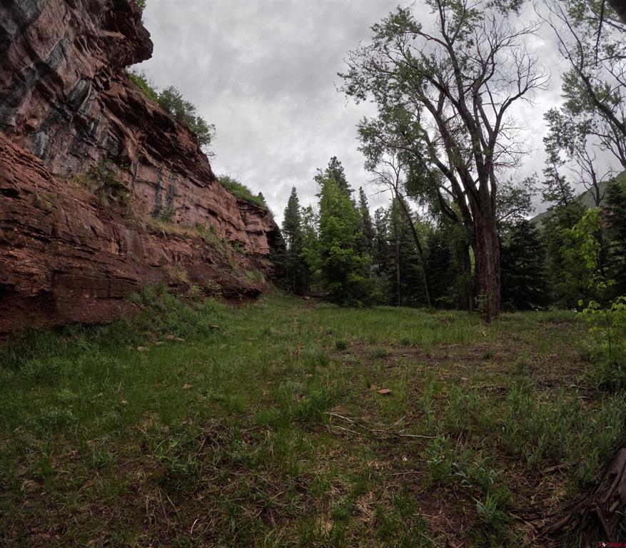 Tbd County Road 17 Ridgway CO 81432