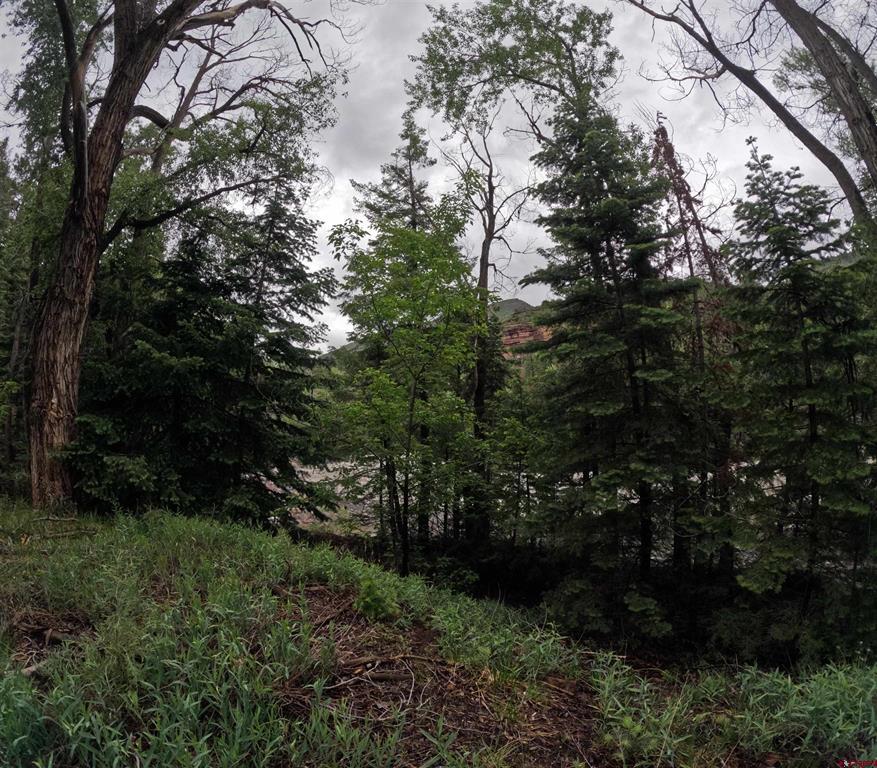 Tbd County Road 17 Ridgway CO 81432