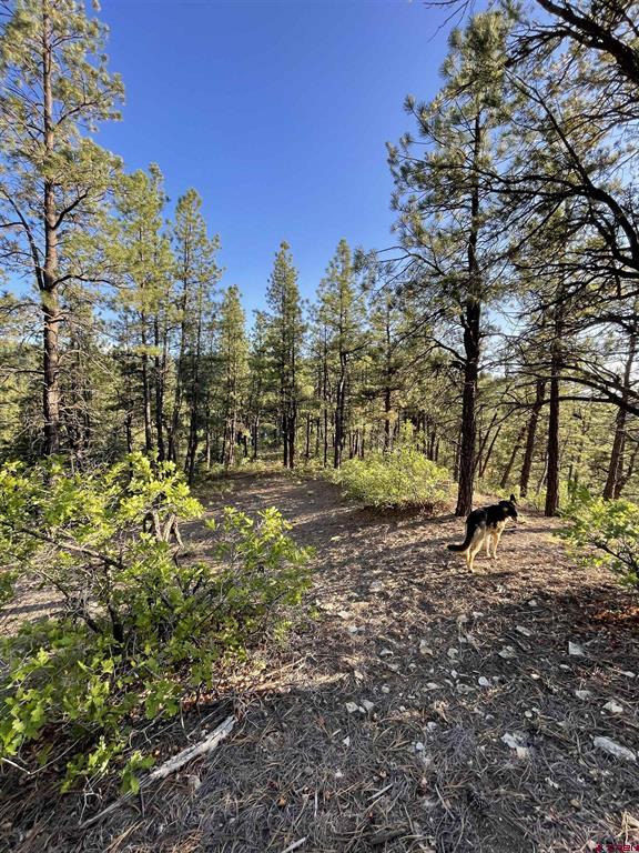 Tbw W Highway 160 Durango CO 81301