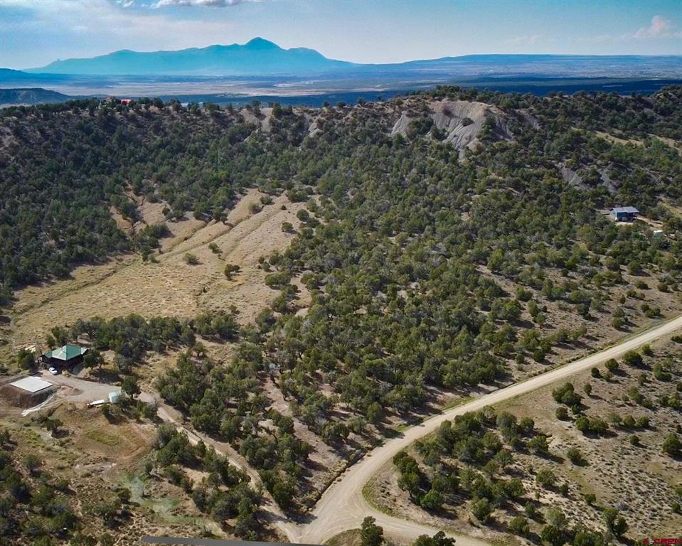 Tbd Road 35 Mancos CO 81328