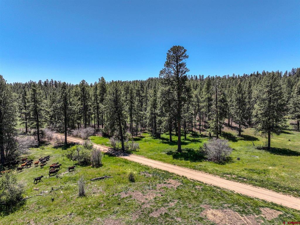 000 County Road 193 Pagosa Springs CO 81147