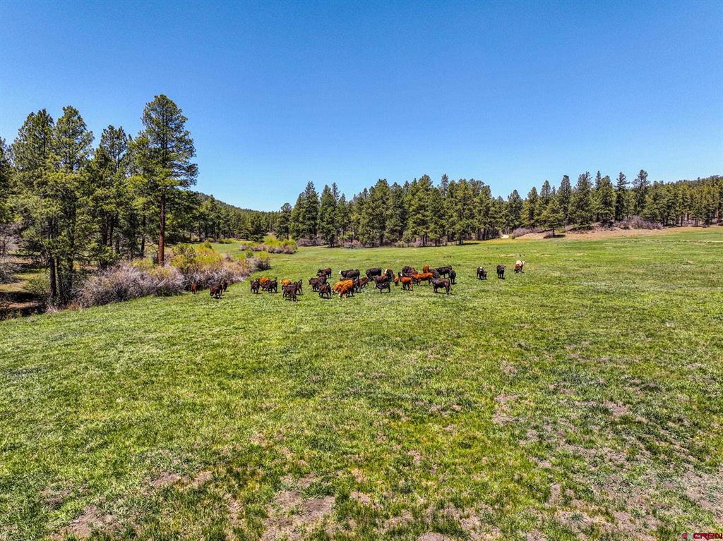 000 County Road 193 Pagosa Springs CO 81147