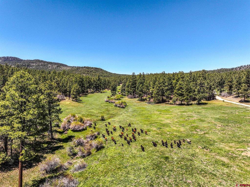 000 County Road 193 Pagosa Springs CO 81147