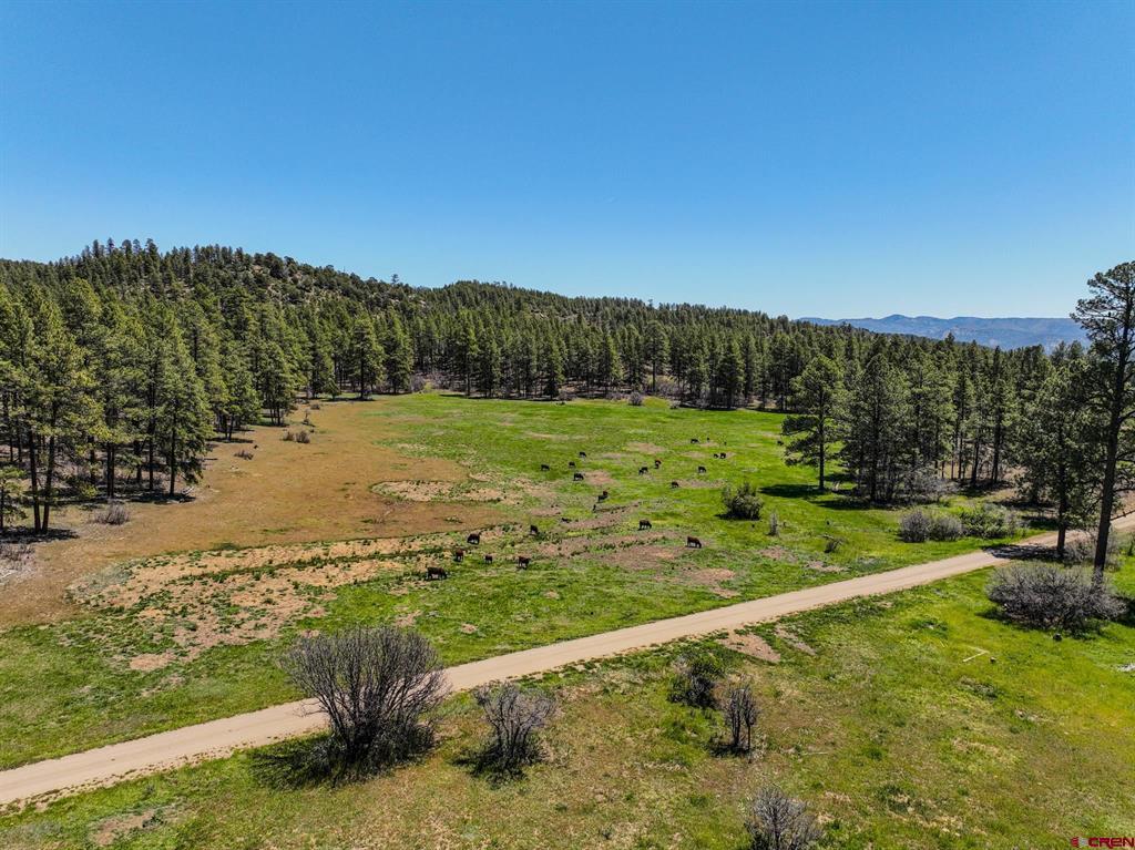 000 County Road 193 Pagosa Springs CO 81147
