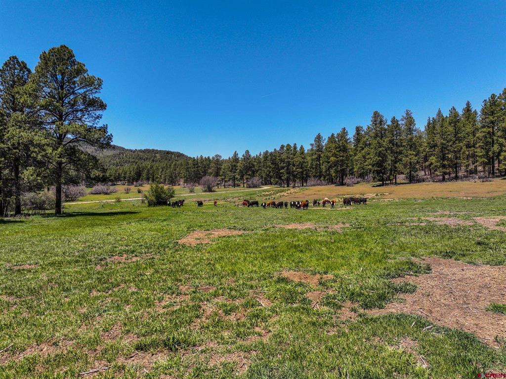 000 County Road 193 Pagosa Springs CO 81147