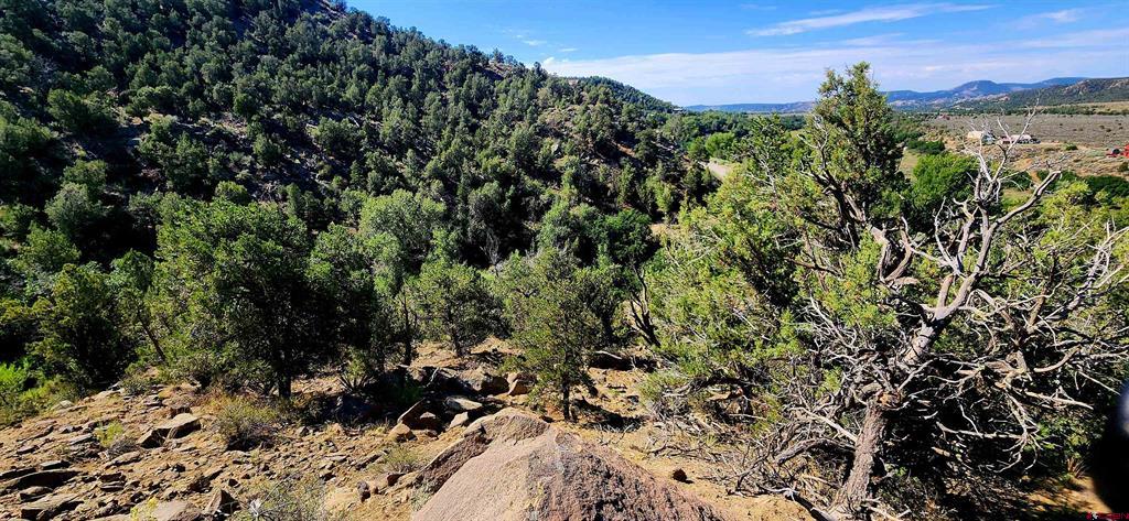 942 Rainbow Road Durango CO 81303