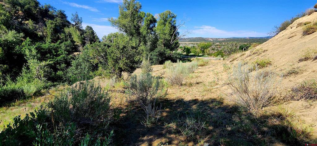 942 Rainbow Road Durango CO 81303
