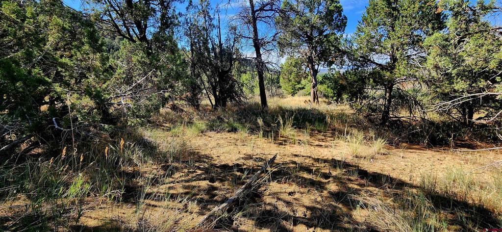 942 Rainbow Road Durango CO 81303