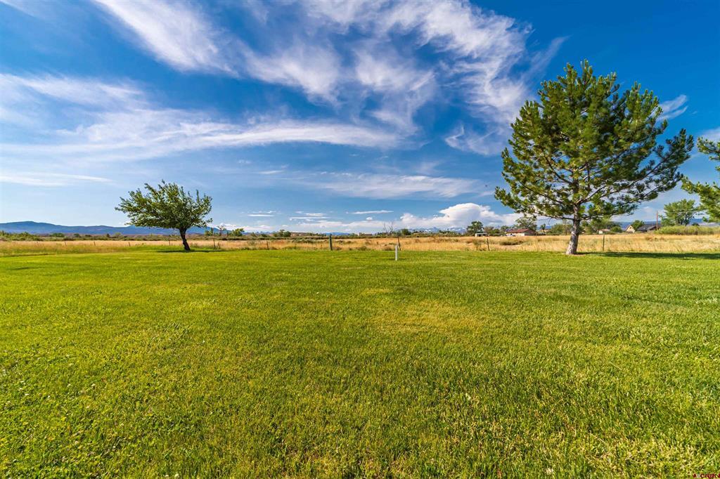 Lot 8 Galway Court Montrose CO 81401