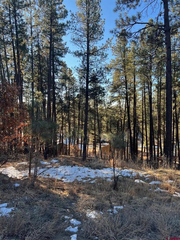 567, 581, 591 Mesa Drive Bayfield CO 81122