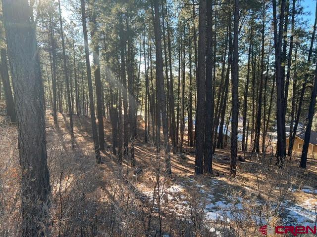 567, 581, 591 Mesa Drive Bayfield CO 81122