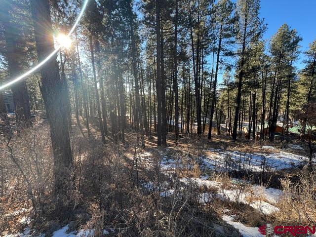 567, 581, 591 Mesa Drive Bayfield CO 81122