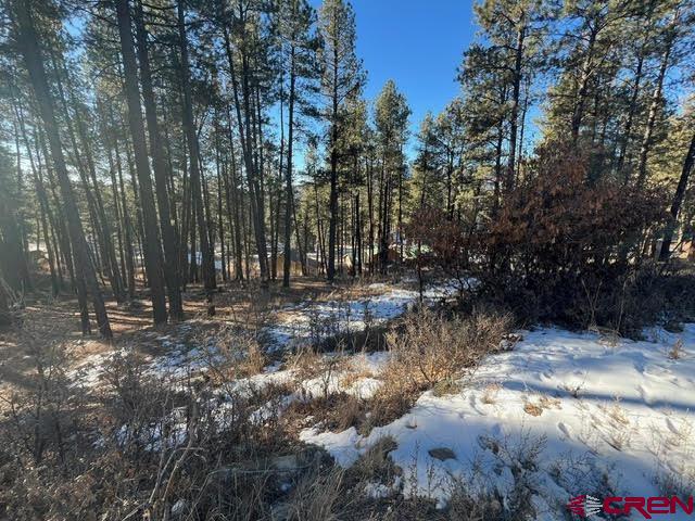 567, 581, 591 Mesa Drive Bayfield CO 81122