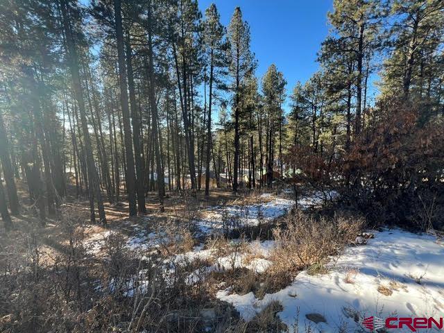 567, 581, 591 Mesa Drive Bayfield CO 81122