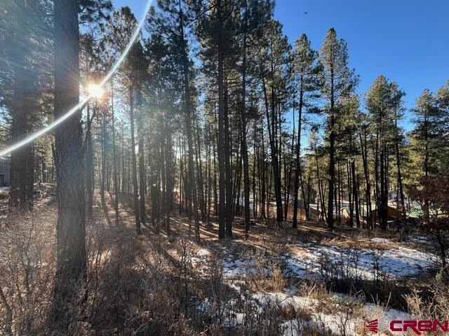 567, 581, 591 Mesa Drive Bayfield CO 81122