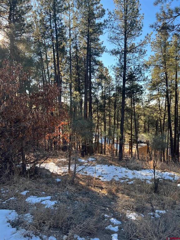 567, 581, 591 Mesa Drive Bayfield CO 81122