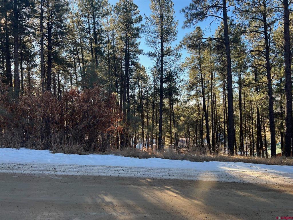 567, 581, 591 Mesa Drive Bayfield CO 81122