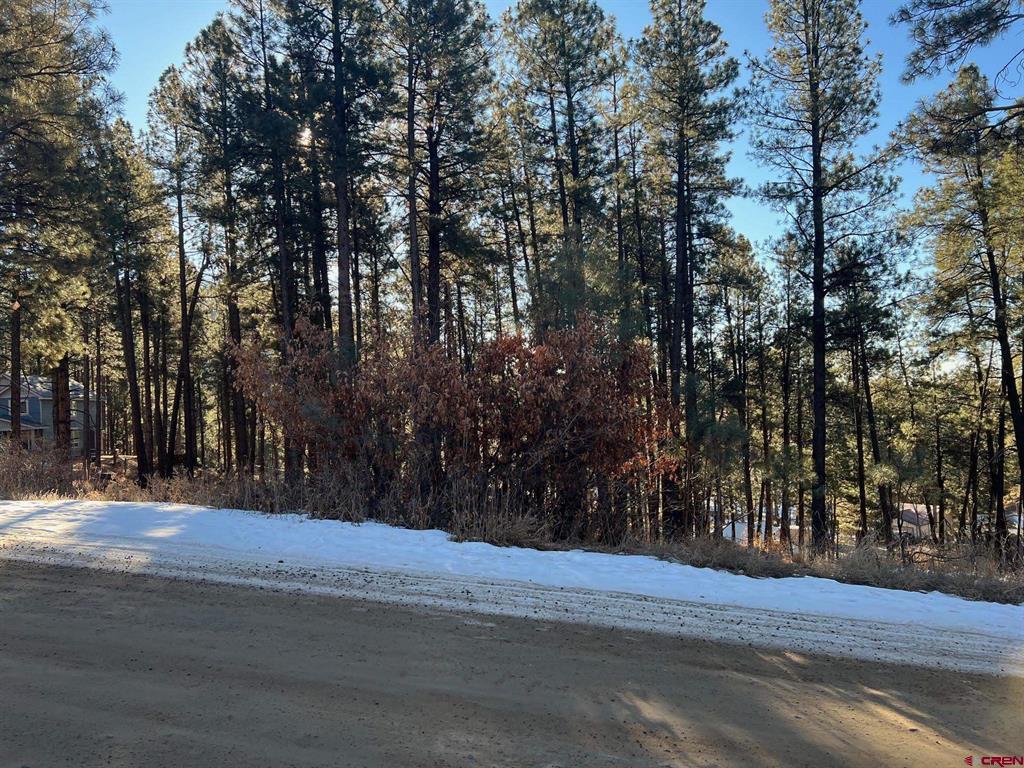 567, 581, 591 Mesa Drive Bayfield CO 81122