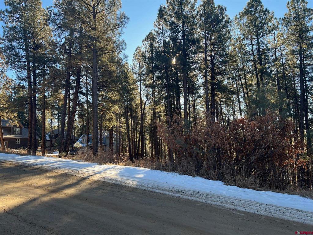 567, 581, 591 Mesa Drive Bayfield CO 81122