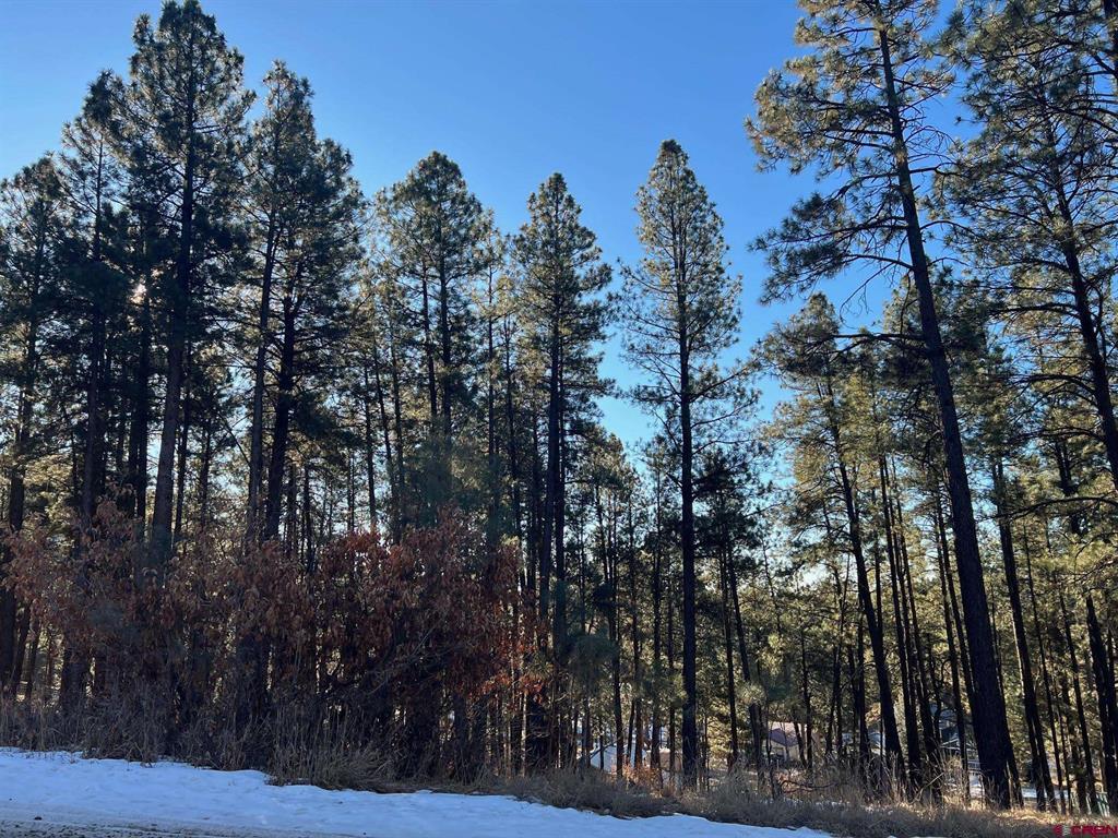 567, 581, 591 Mesa Drive Bayfield CO 81122