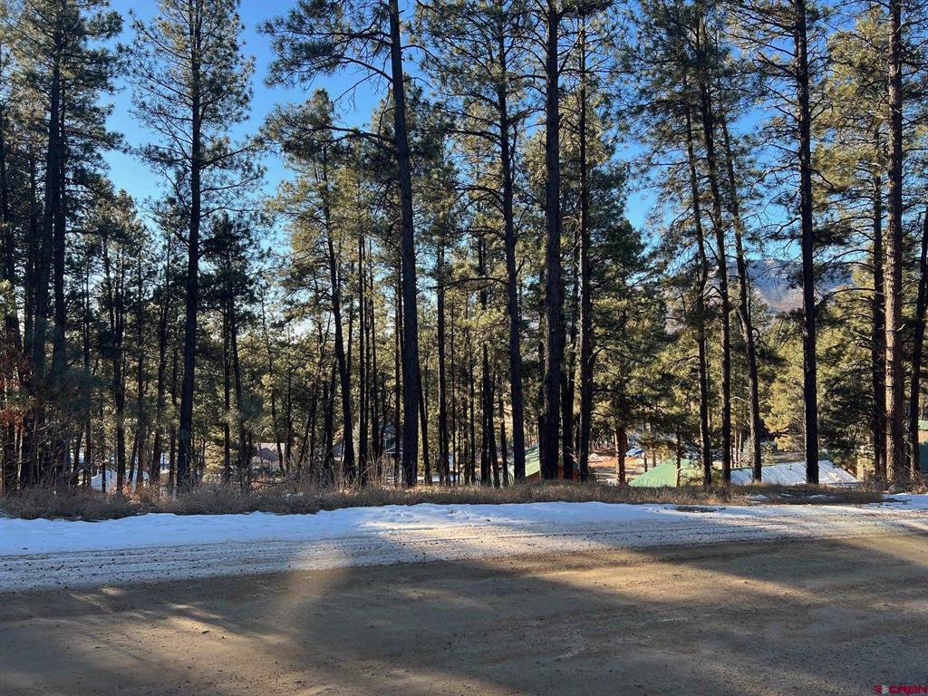 567, 581, 591 Mesa Drive Bayfield CO 81122