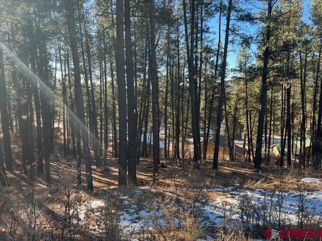 567, 581, 591 Mesa Drive Bayfield CO 81122