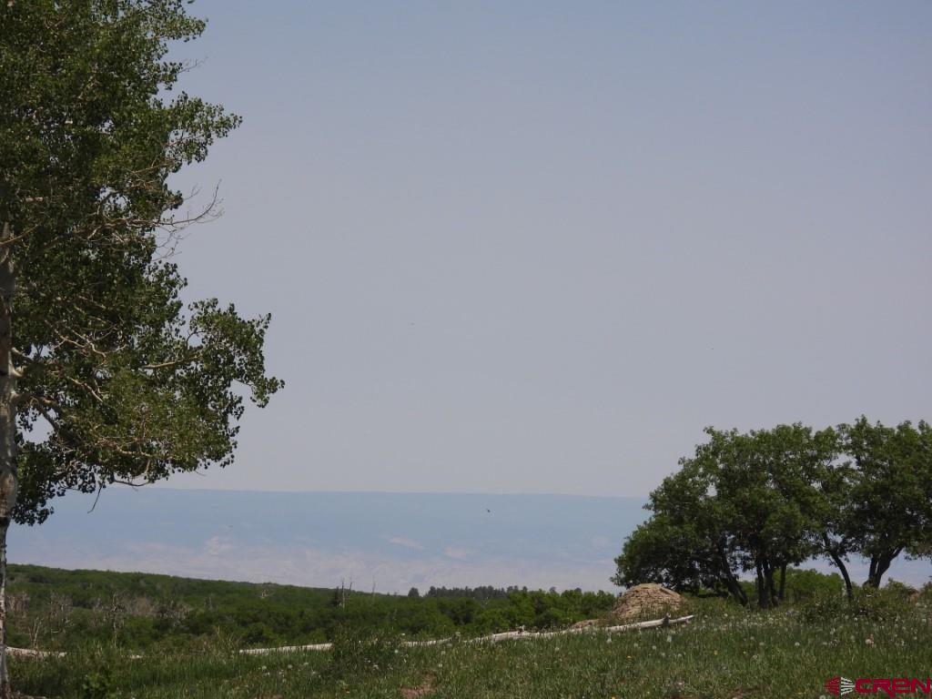Tbd Transfer Road Montrose CO 81403