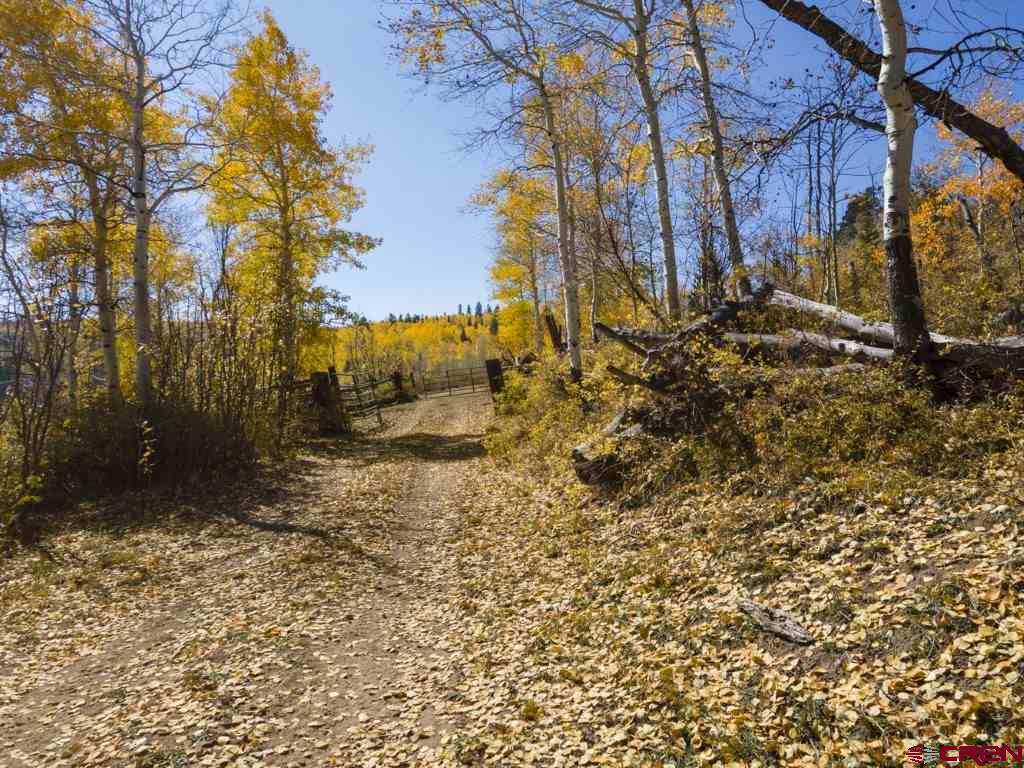 Tbd Transfer Road Montrose CO 81403