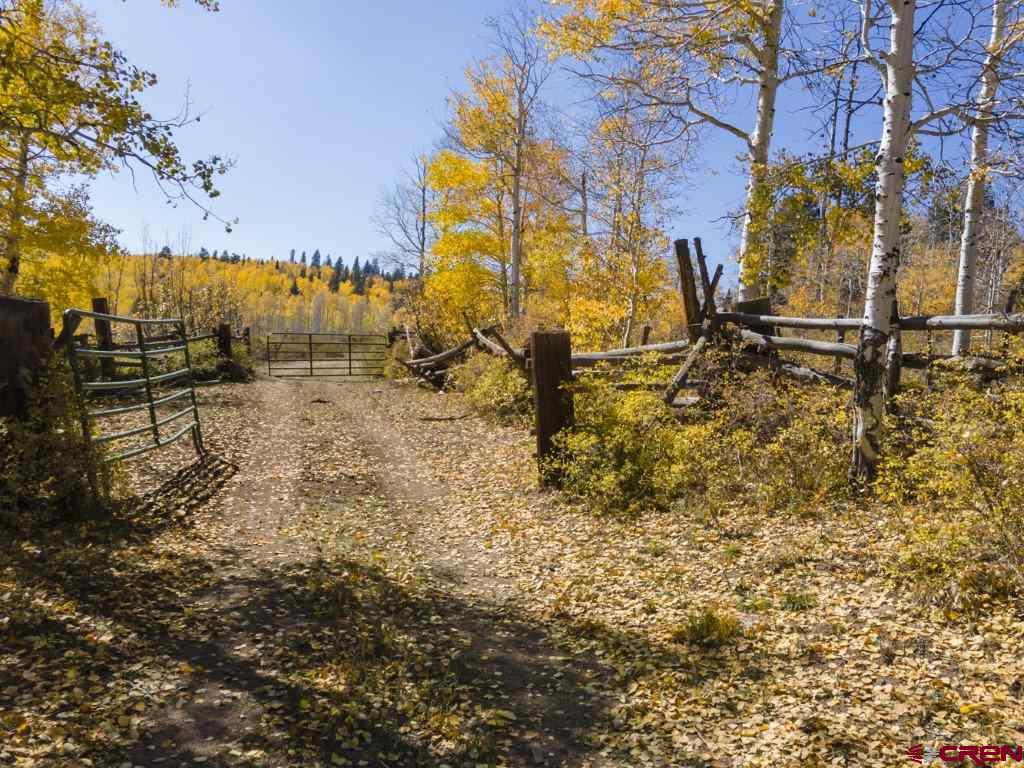 Tbd Transfer Road Montrose CO 81403