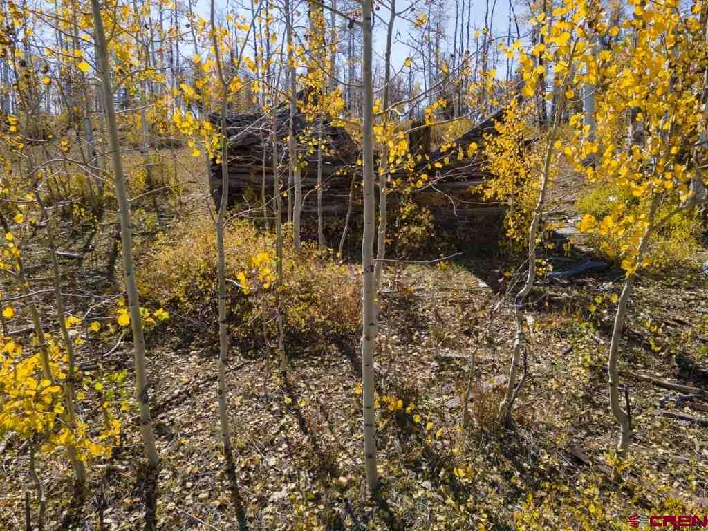 Tbd Transfer Road Montrose CO 81403