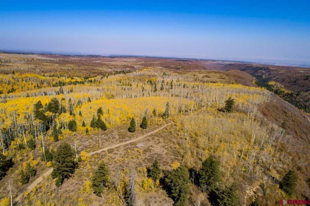 Tbd Transfer Road Montrose CO 81403
