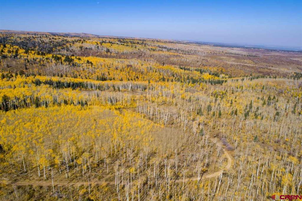 Tbd Transfer Road Montrose CO 81403