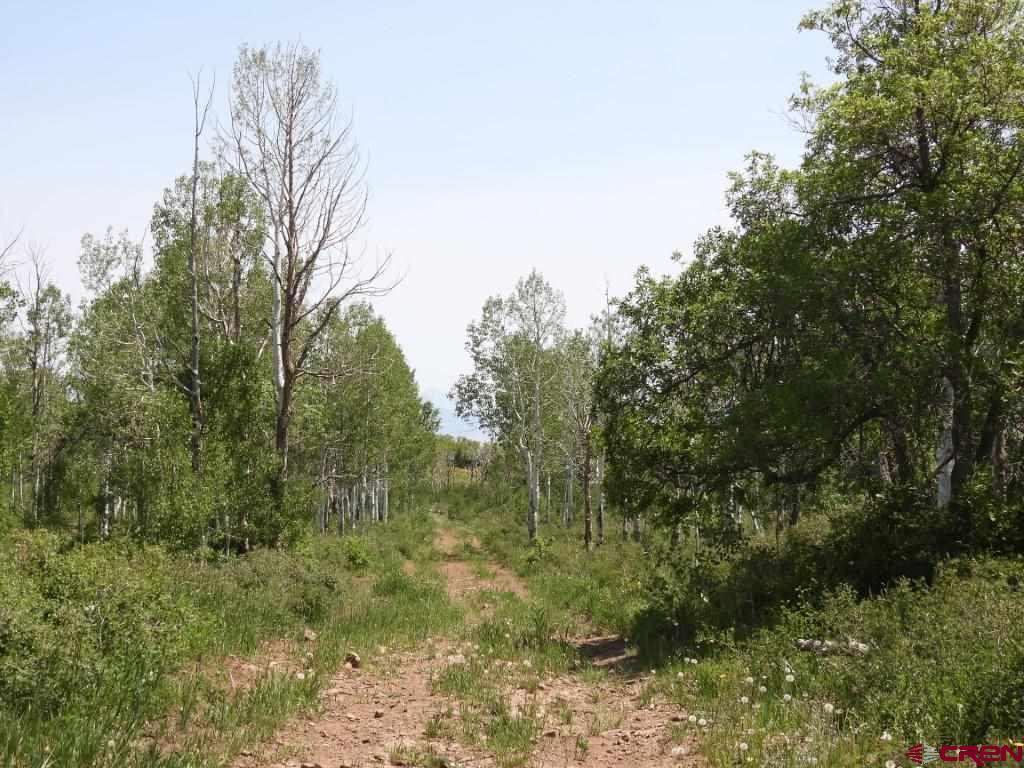 Tbd Transfer Road Montrose CO 81403