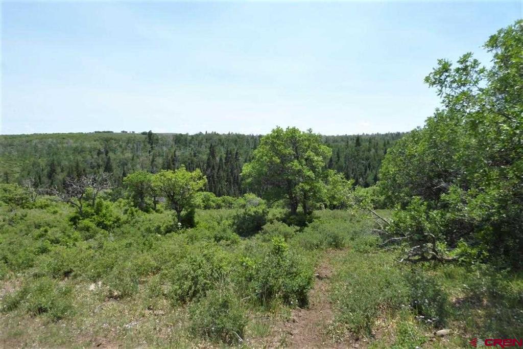 Tbd Transfer Road Montrose CO 81403