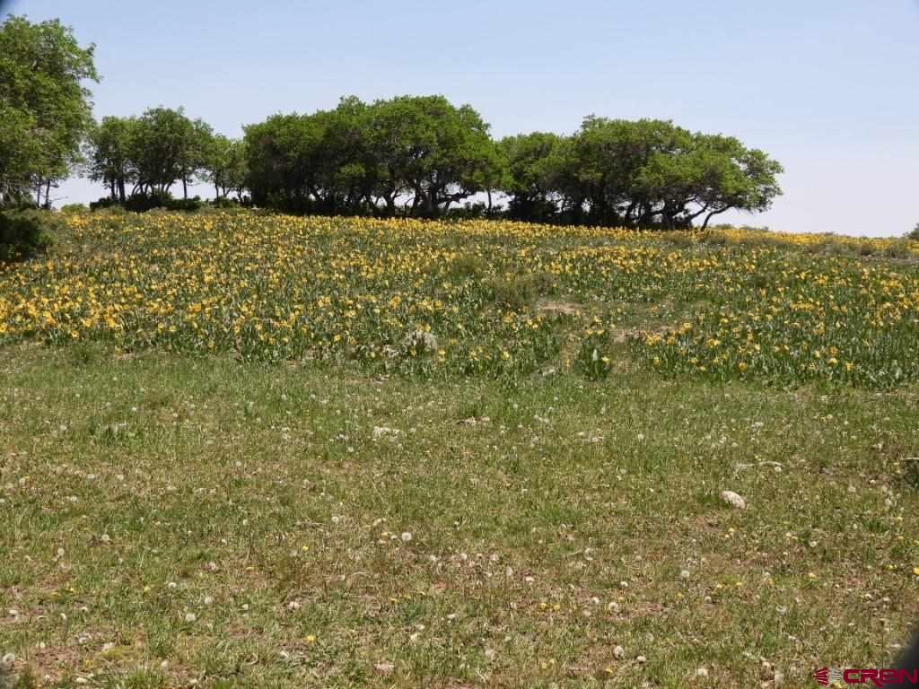 Tbd Transfer Road Montrose CO 81403