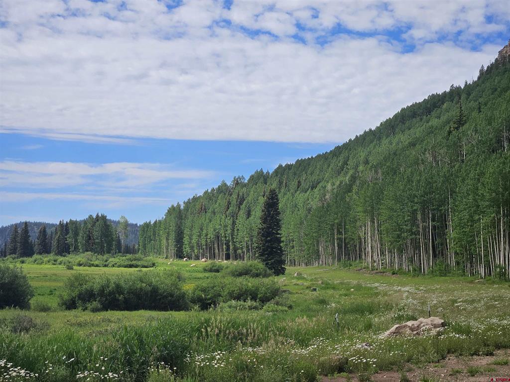 167 Meadowview Drive Durango CO 81301