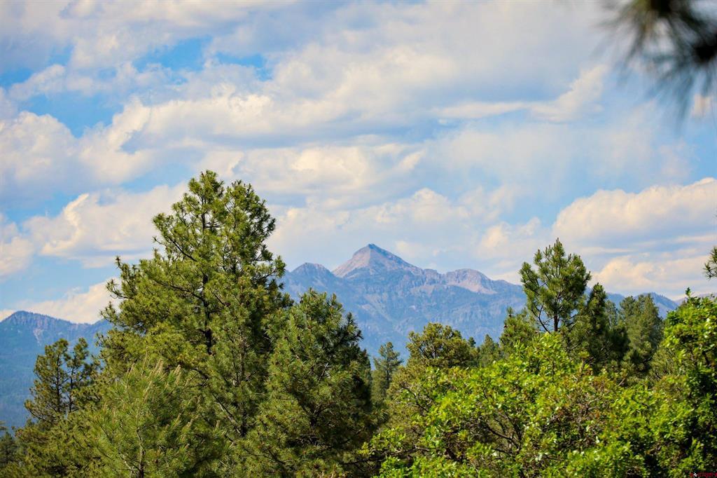 1343B Wheeler Place Pagosa Springs CO 81147