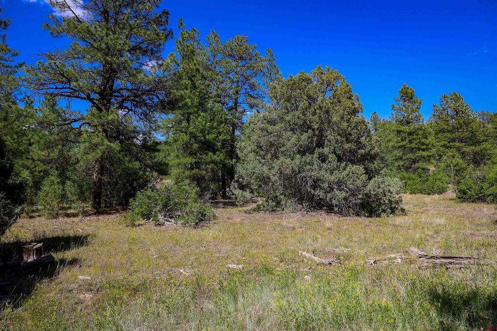 1343B Wheeler Place Pagosa Springs CO 81147