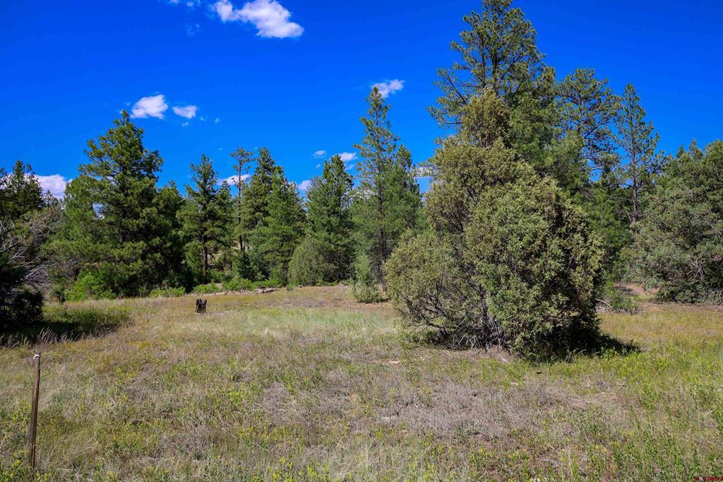 1343B Wheeler Place Pagosa Springs CO 81147