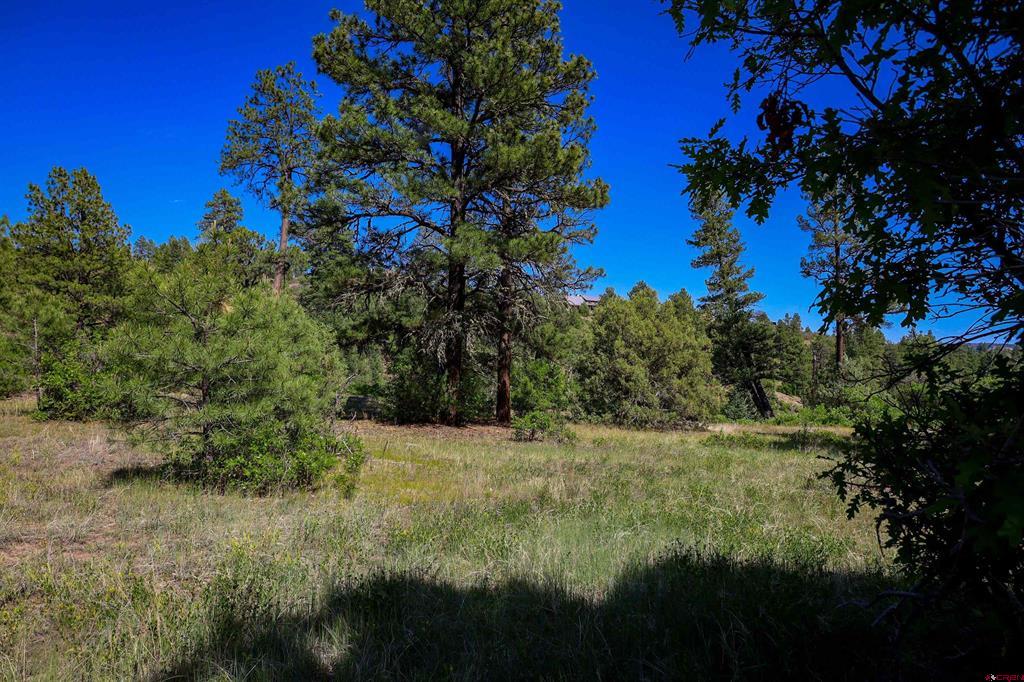 1343B Wheeler Place Pagosa Springs CO 81147