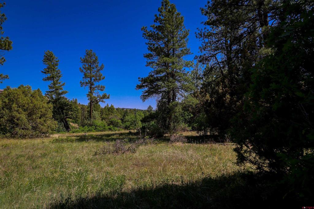 1343B Wheeler Place Pagosa Springs CO 81147