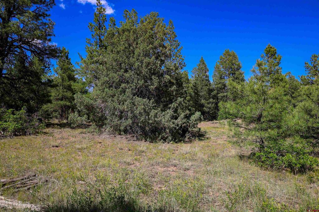 1343B Wheeler Place Pagosa Springs CO 81147