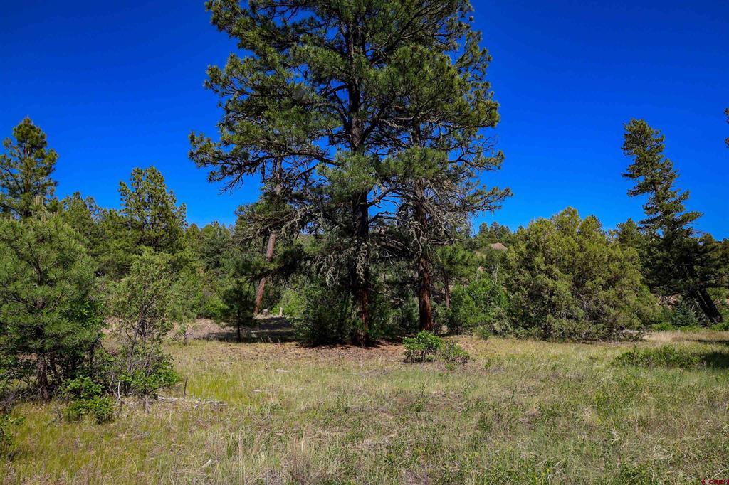 1343B Wheeler Place Pagosa Springs CO 81147
