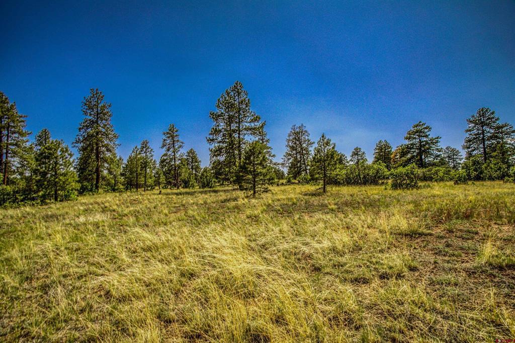 1343B Wheeler Place Pagosa Springs CO 81147
