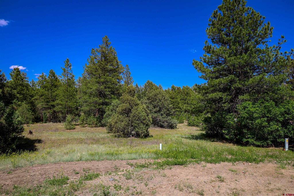1343B Wheeler Place Pagosa Springs CO 81147